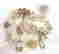 item-131687369=4