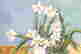item-131687531=3
