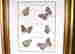 item-131687550=2