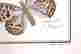 item-131687550=6