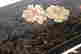 item-131687603=9