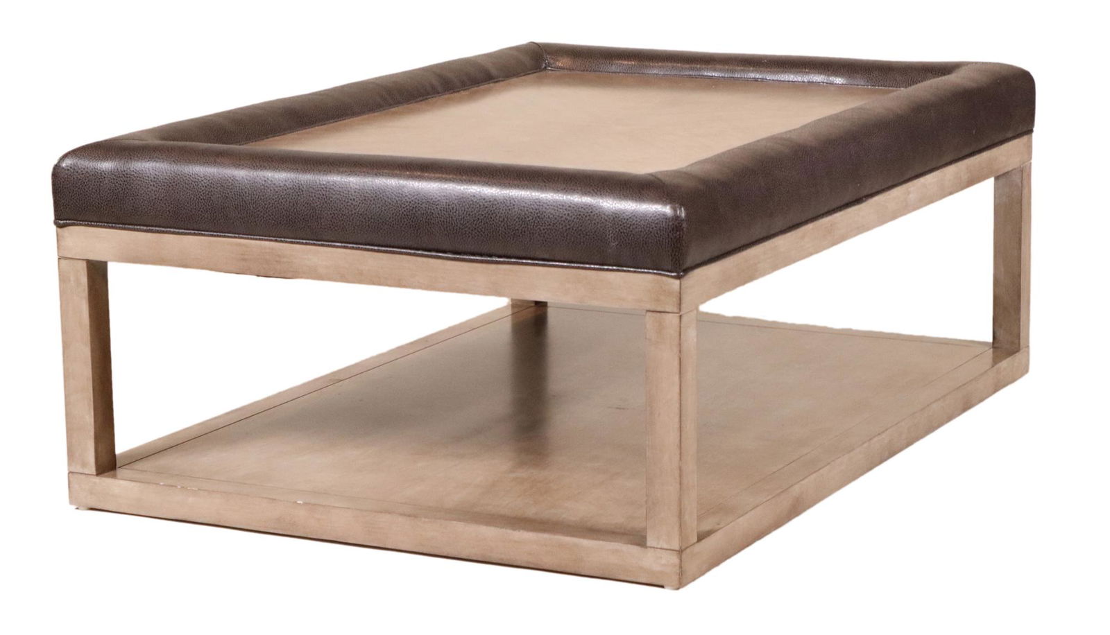 Modern Grey-Stained and Leather Low Table (1 of 10)