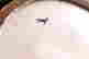 item-131687707=13