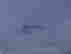 item-131687779=7