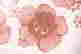 item-131687795=7