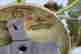 item-131687807=8