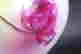 item-131687819=12