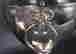 item-131687830=6