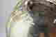 item-134168867=7