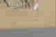 item-134168990=3