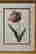 item-134169072=4