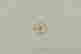 item-134169649=6