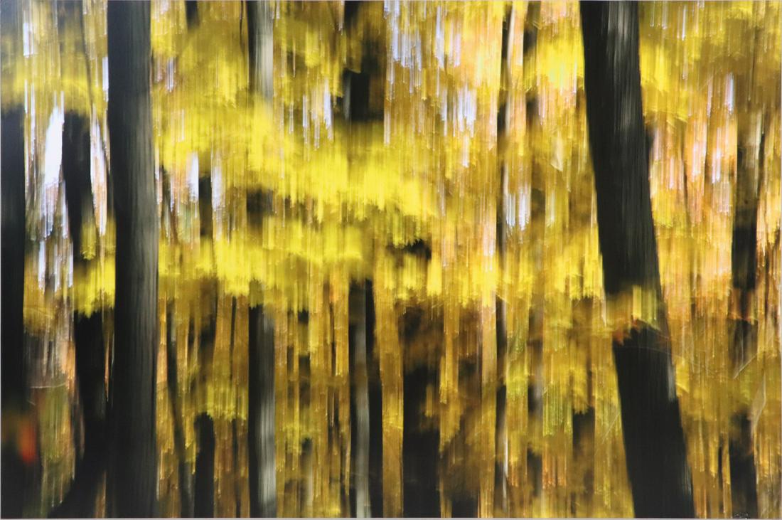 Irene Mamiye, Photograph on Metal, Abstract (1 of 9)