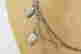 item-137117734=3
