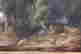 item-137117810=3