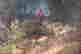 item-137117810=6