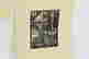 item-137117876=5
