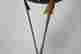 item-137117907=3