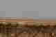item-137117962=5