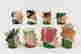 item-137118107=9