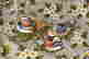 item-137118151=4
