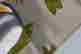 item-137118151=7