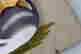 item-137118151=8