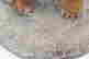 item-137118235=16