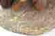 item-137118235=5