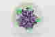item-137118250=2