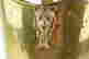 item-137118288=7
