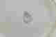 item-137118316=19
