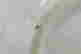 item-137118316=20