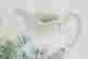 item-137118316=6