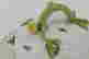 item-137118319=3