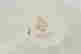item-137118323=4