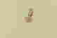 item-137118331=8