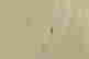 item-137118331=9