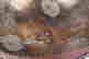 item-137634903=6