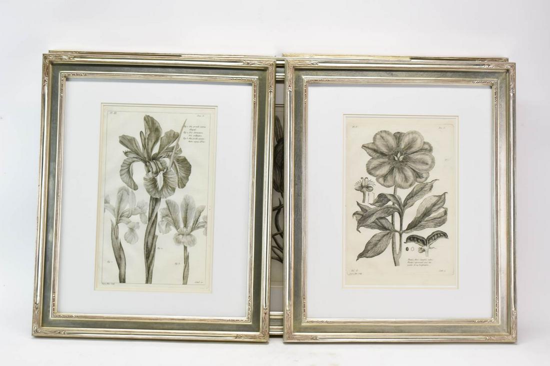 Five Vintage Botanical Engravings (1 of 10)