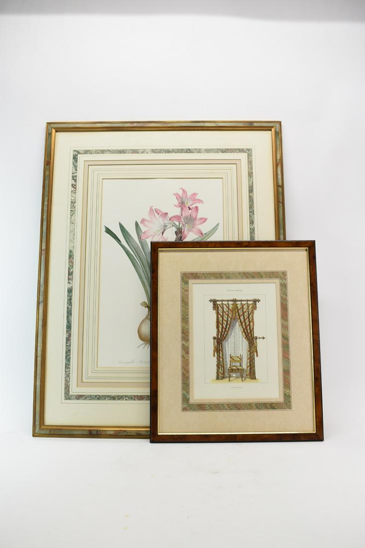 Large Framed Amaryllis Belladonna Botanical (1 of 7)