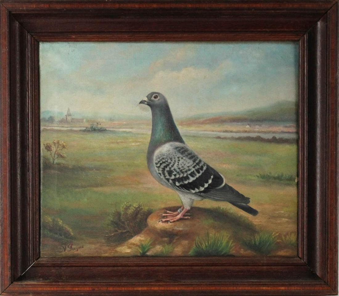 Oil on Canvas, Racing Pigeon (1 of 6)