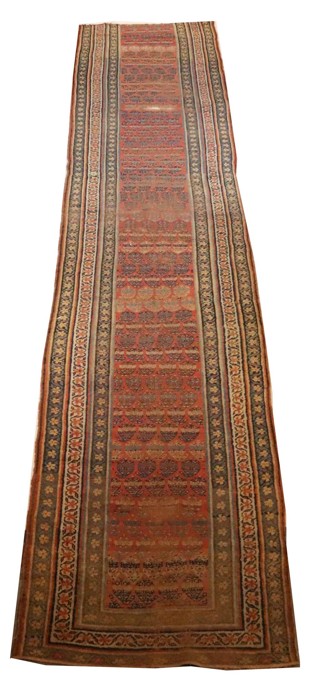 Bidjar Runner (1 of 10)