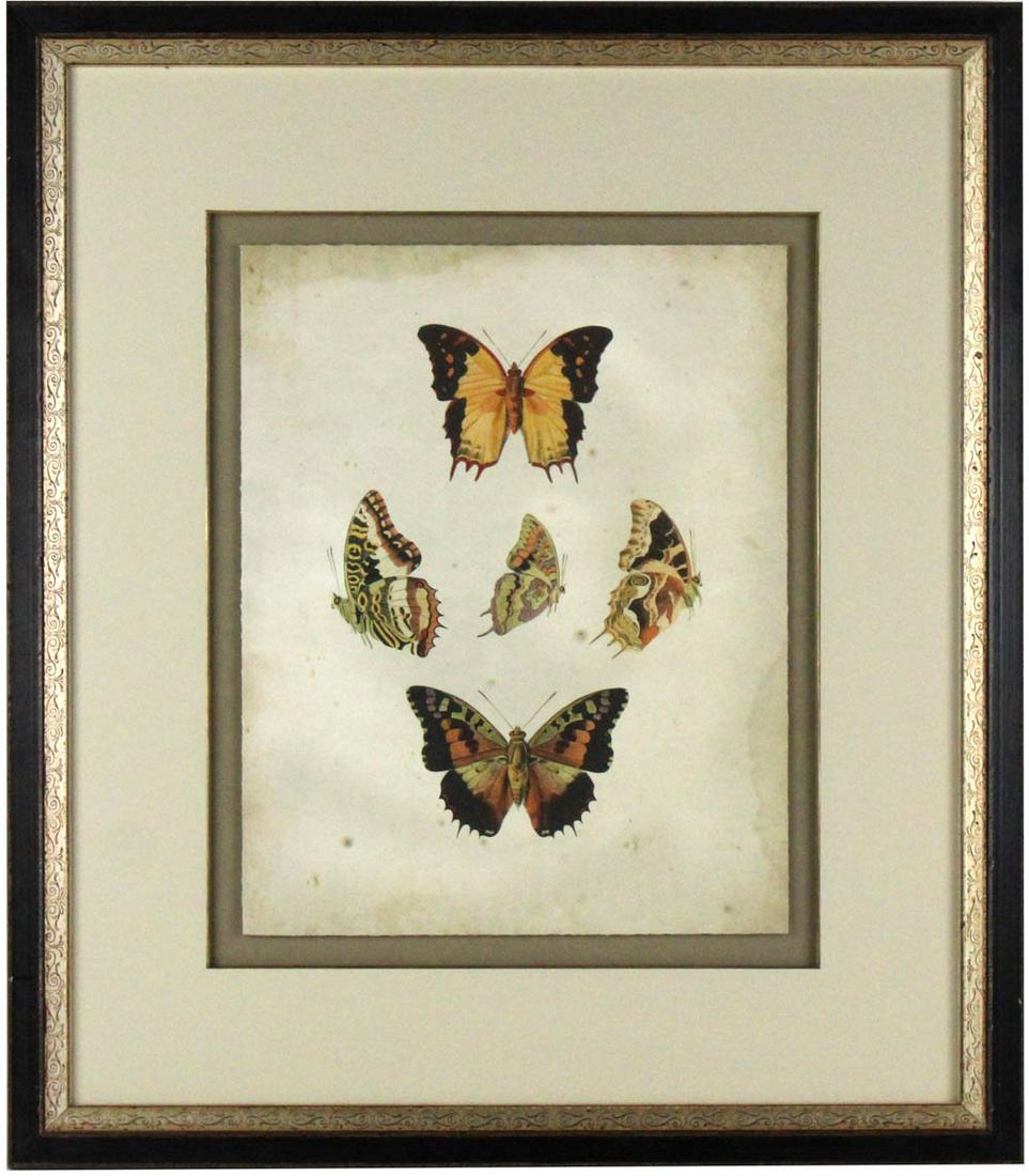 Two Ethan Allen Butterfly Giclee Prints (1 of 14)