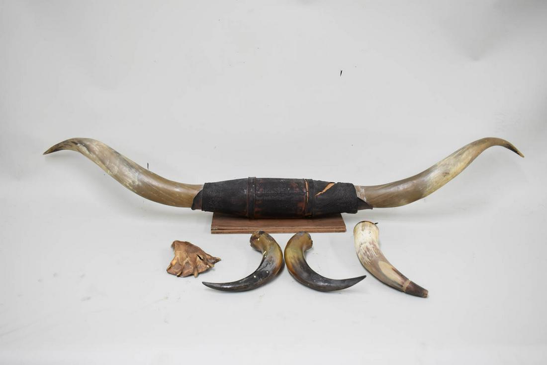 Vintage Steer Horn Wall Hanging (1 of 6)