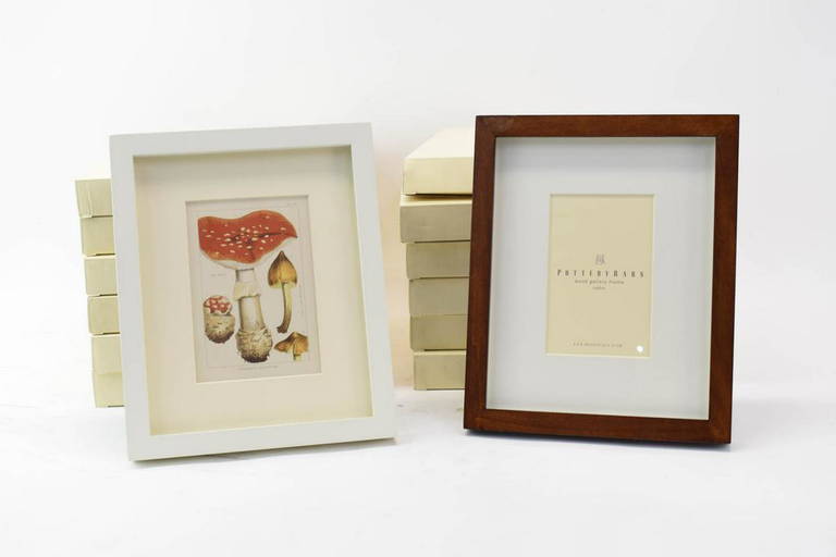 Group Of Assorted Pottery Barn Picture Frames