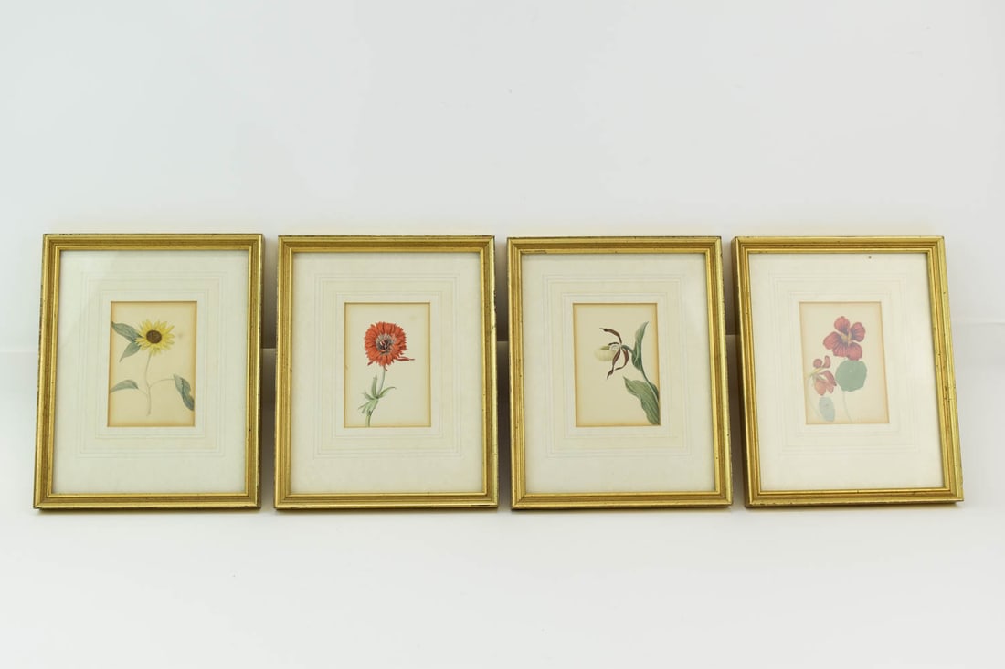 Set of Four Joli Gesney Botanical Watercolors (1 of 5)