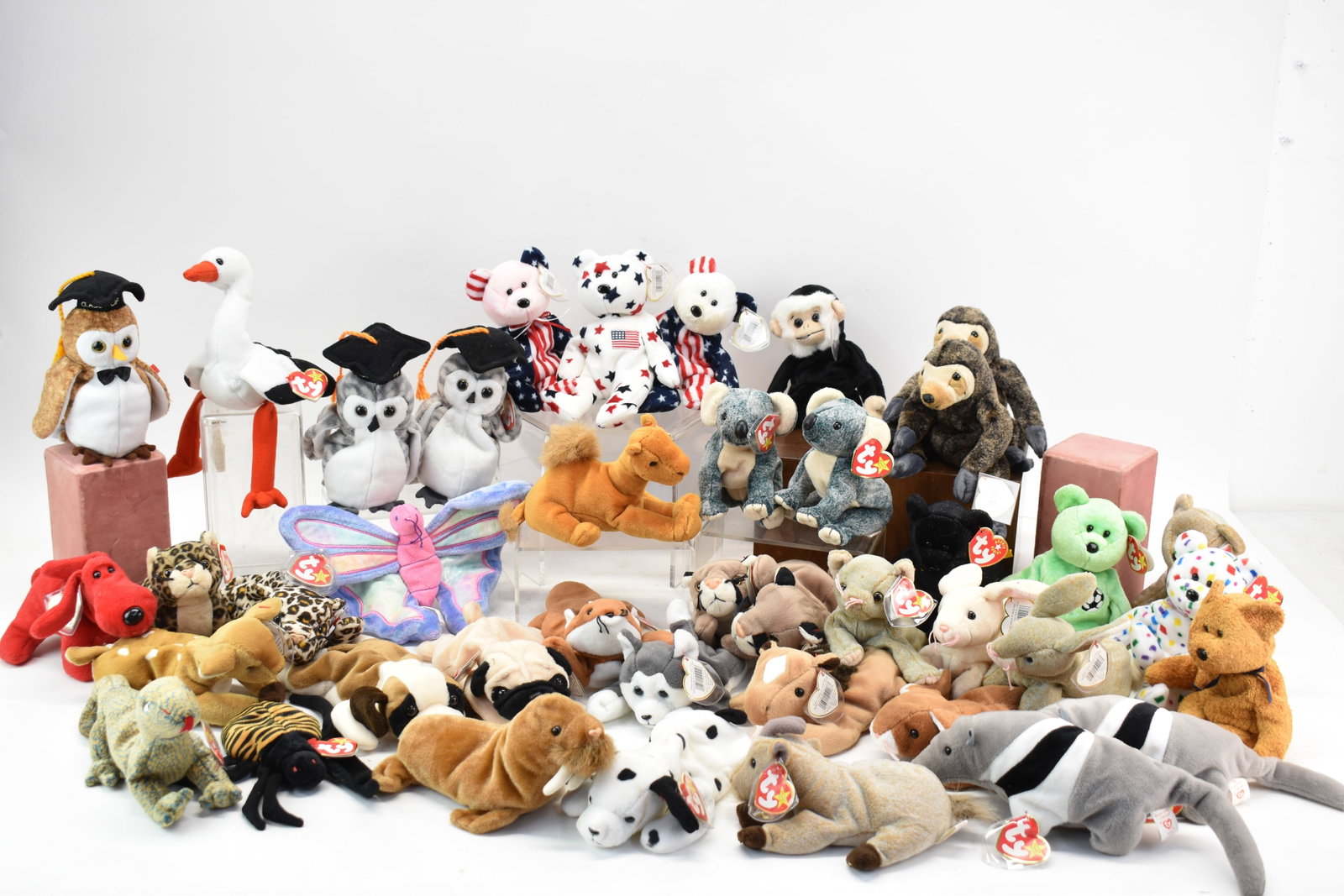 Group of Assorted Beanie Babies: Group of Assorted Beanie Babies including Freckles, Canyon, Princess Diana, Wiser, Mooch, and many others. Used condition.