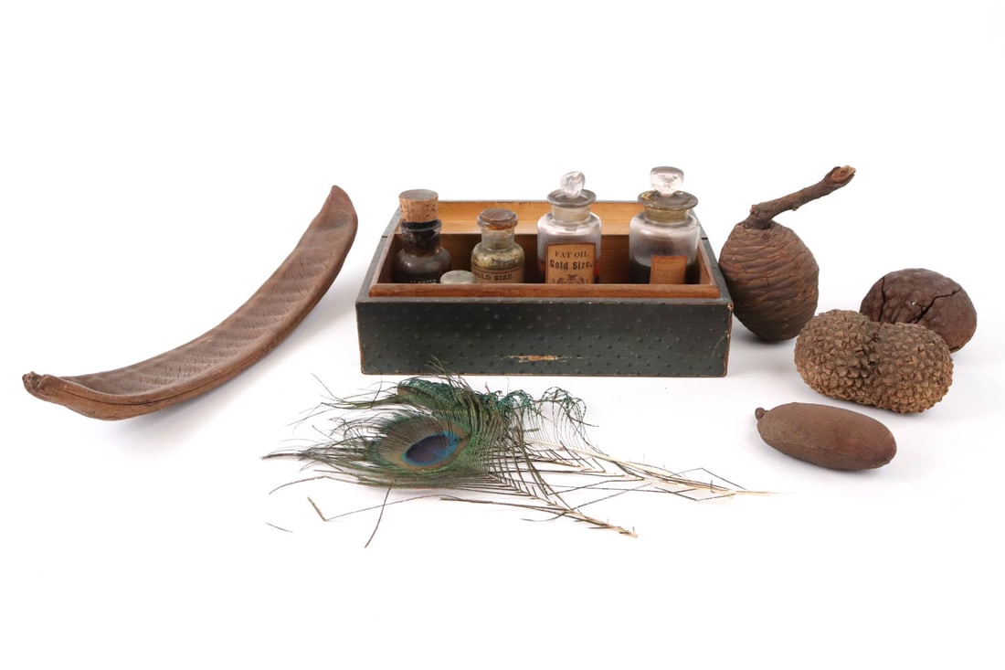 Assorted Natural Tree Pods: Including carob and a pinecone, together with three peacock feathers, and vials of 19th C. supplies. Losses, cracks, surface distress.
