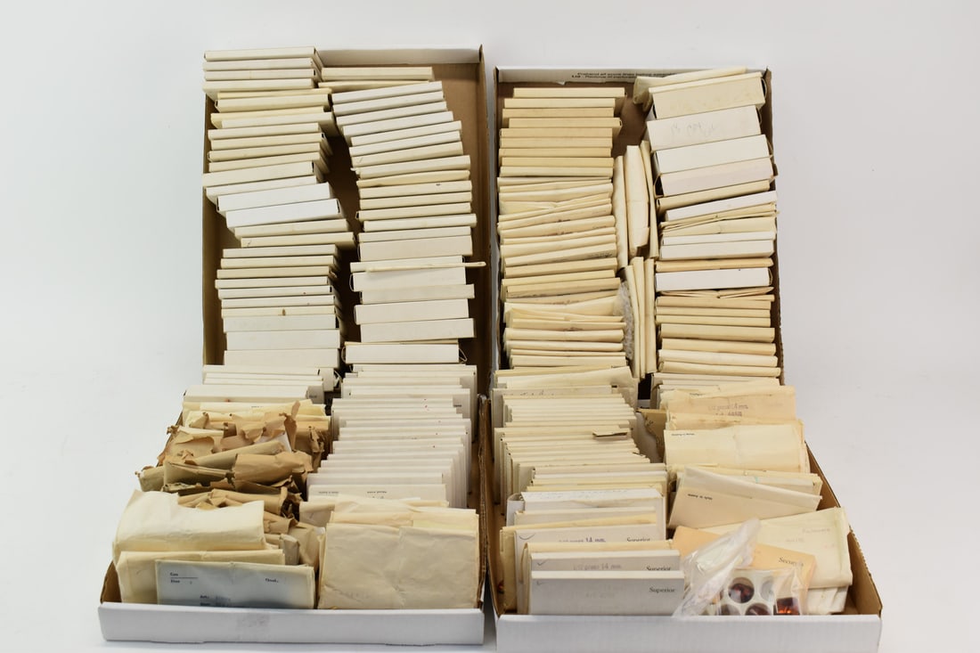 Large Group of Assorted Swarovski Crystals (1 of 20)